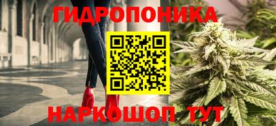 эйфоретик Лесосибирск
