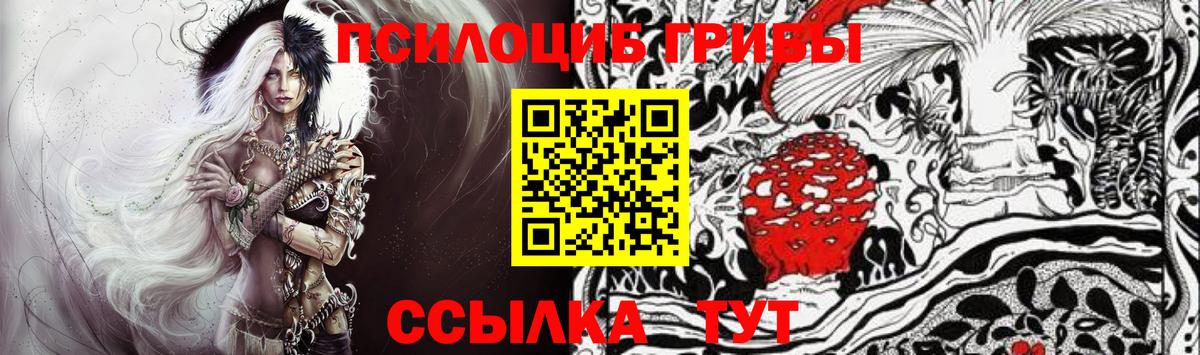 Псилоцибиновые грибы Cubensis Железногорск